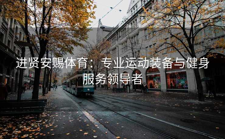 进贤安赐体育：专业运动装备与健身服务领导者