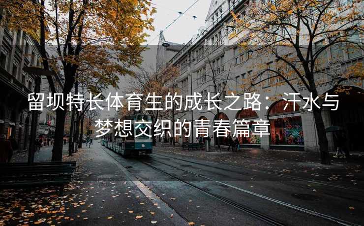 留坝特长体育生的成长之路：汗水与梦想交织的青春篇章