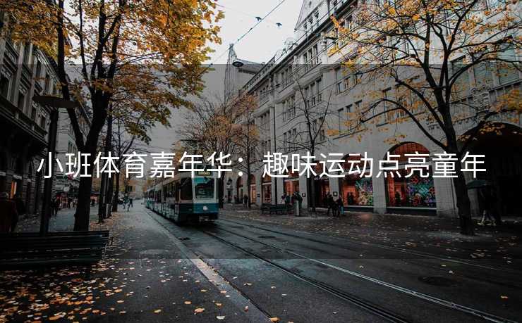 小班体育嘉年华：趣味运动点亮童年