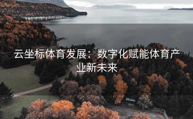 云坐标体育发展：数字化赋能体育产业新未来